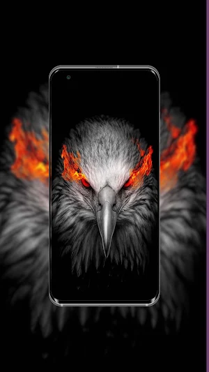 Eagle Wallpaper Screenshot 3