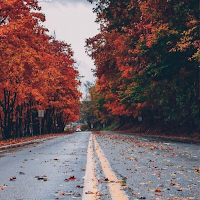 Autumn Wallpapers