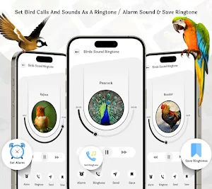 Birds Call Sound And Ringtones Screenshot 2