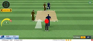 World Real Cricket Champions Screenshot 2