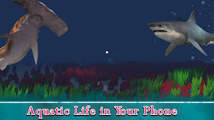 VR Ocean Aquarium 3D - Underwater National Park VR Screenshot 0