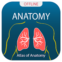 Human Anatomy Handbook