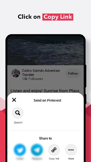 Video Downloader For Pinterest Screenshot 3