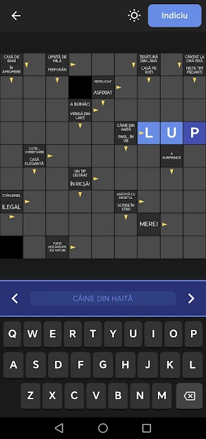 Integrame in limba romana Screenshot 2