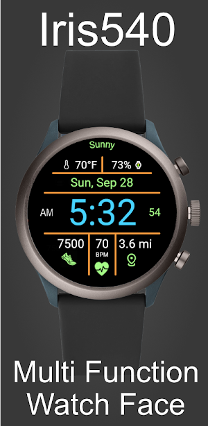 Multi-Function Digital Iris540 Screenshot 1
