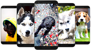 🦮 Dog Wallpaper HD 🦮 Screenshot 3