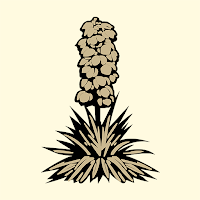 Prairie Dunes
