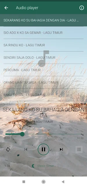 Lagu Timur Campuran Viral Screenshot 3