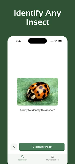 Insect Identifier - InsectsLen Screenshot 1