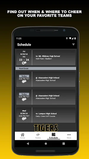 Tiger Teams Screenshot 1
