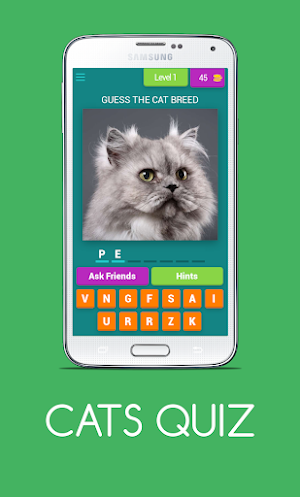 CATS QUIZ Screenshot 0
