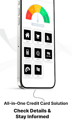 Credit Card Data Check Online Screenshot 2
