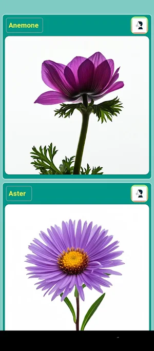 Flowers Screenshot 0