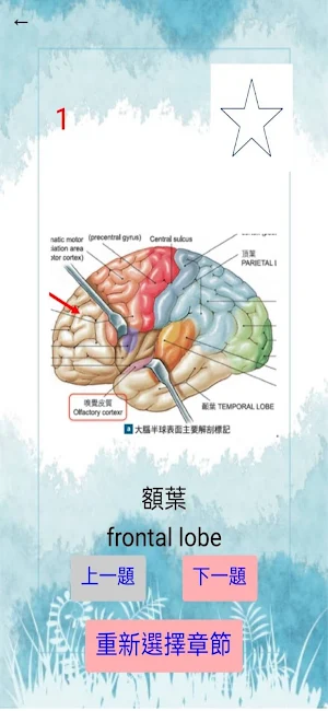 解剖跑台小測驗 Screenshot 2