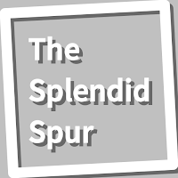 Book, The Splendid Spur