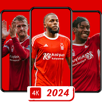 Nottingham Forest Wallpaper