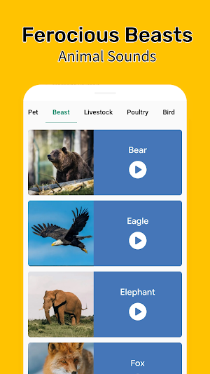 Animal Sounds - Enjoy Sounds Screenshot 1