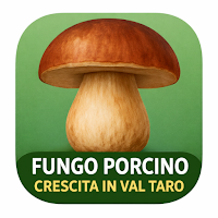 Fungo Porcino Val Taro e Ceno