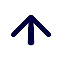 Aiguille