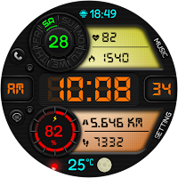 DIGI KORTLANS CTS81 Watch face