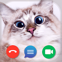 Cat Fake Video Calls and Chat