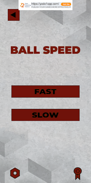 Basketball Shootout - Fun Game Screenshot 2