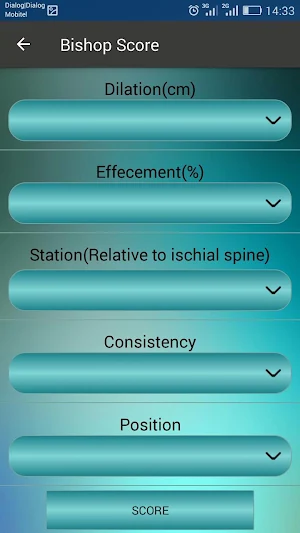 Bishop Score Calculator Screenshot 3