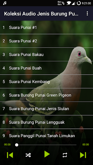 Suara Punai: Green Pigeon Screenshot 3
