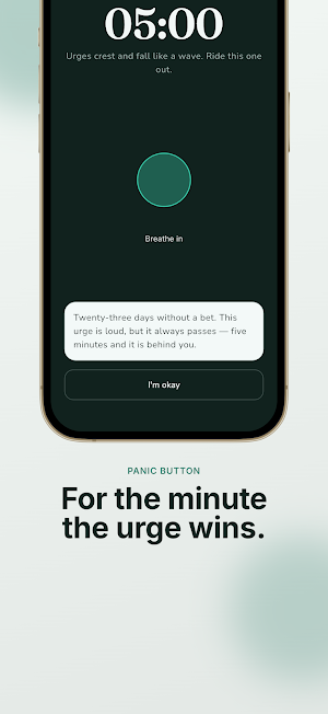 Quit Gambling: Bet Free Screenshot 1