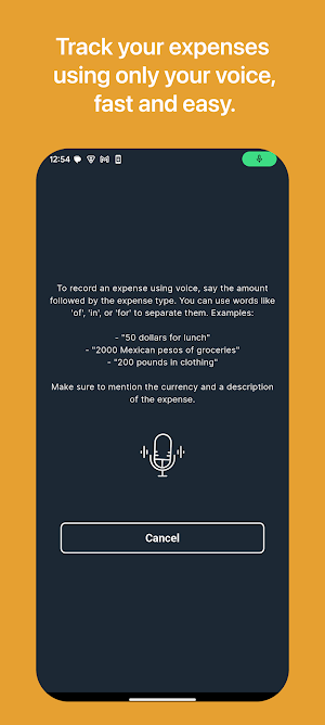 Expenses Champ Screenshot 0