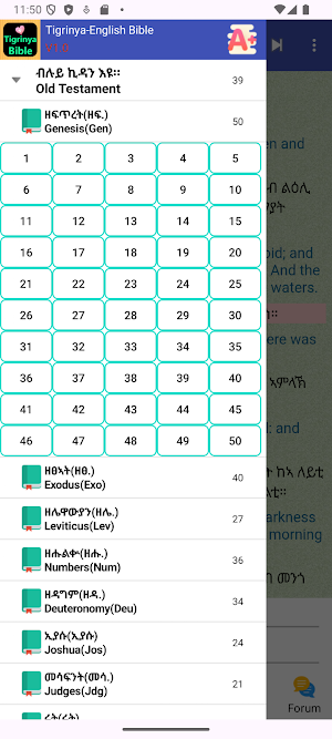 Tigrinya Geez Audio Holy Bible Screenshot 1