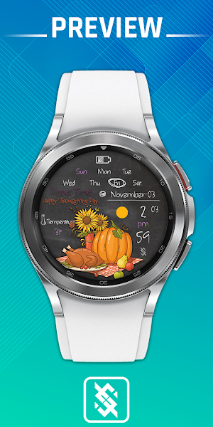 BFF18 - Thanksgiving day BBQ Screenshot 0