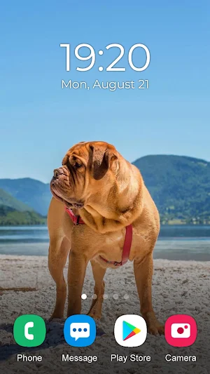 Pitbull Wallpaper 2023 Screenshot 3