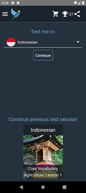 Indonesian Language Tests Screenshot 0