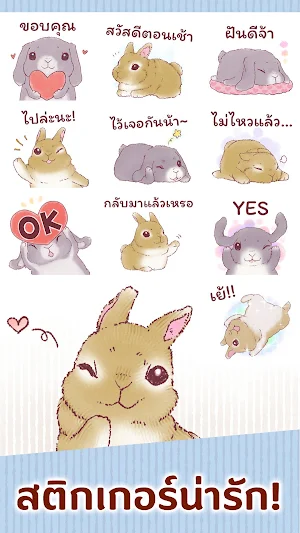 สติกเกอร์ กระต่ายน้อยปอม Screenshot 0