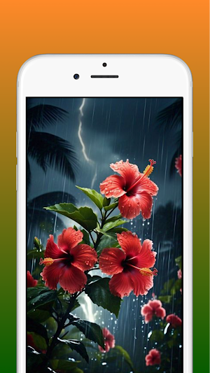 Hibiscus Flower Wallpaper HD Screenshot 2