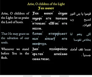 Liturgical Books Screenshot 1