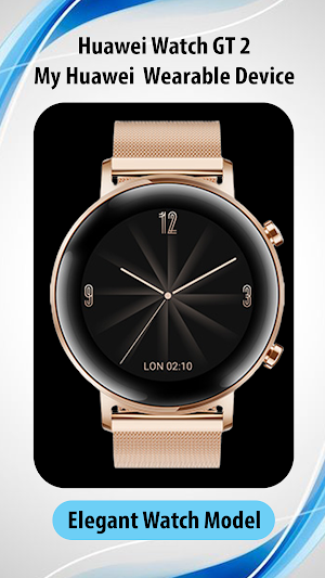 Huawei GT 2 Watch App Guide Screenshot 2