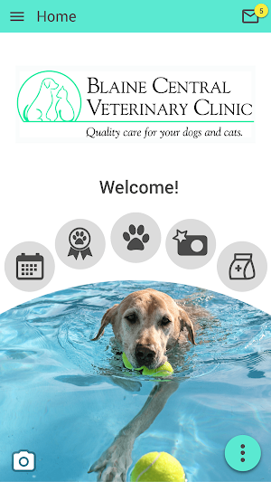 Blaine Central Vet Screenshot 0