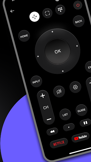 Remote TV Screenshot 0