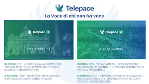 Telepace Screenshot 1