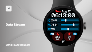 Data Stream Watch Face Screenshot 0