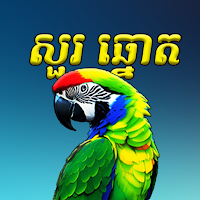 អាវង​សួរ VIP