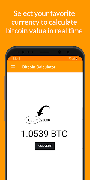 Bitcoin Calculator - Converter Screenshot 1