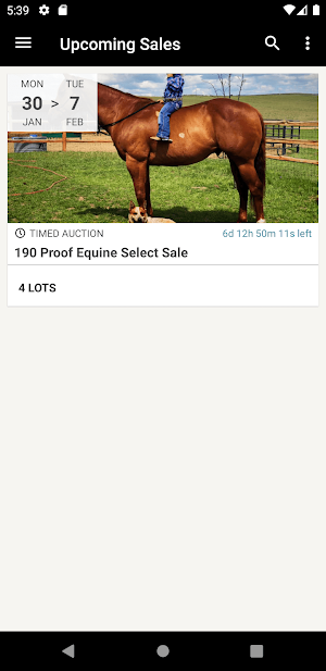 190 Proof Equine Screenshot 0