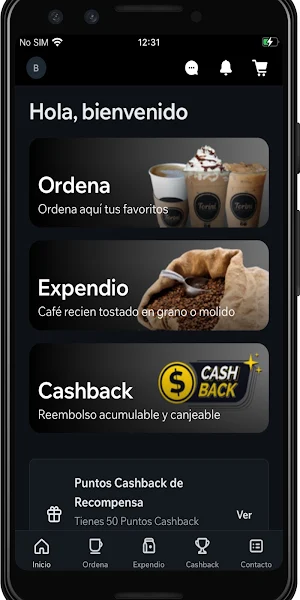 TORINI CAFE Screenshot 0