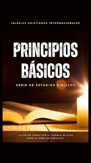 Principios Básicos Screenshot 0