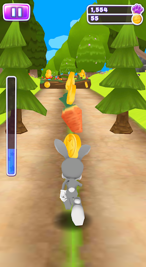 Bunny Run - Bunny Rabbit Game Screenshot 3