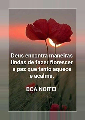 Boa noite amor Screenshot 2