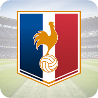 French Soccer Live